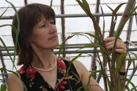 photo of woman with plant leaves