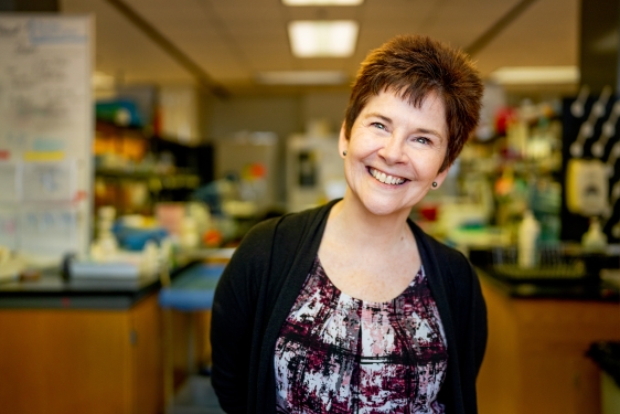 photo of woman in laboratory