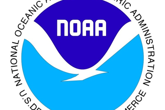 logo with bird silhouette and blue/white text