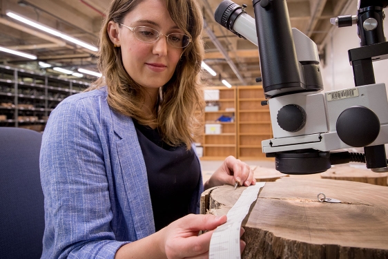 photo of woman with microscope and tree cookie