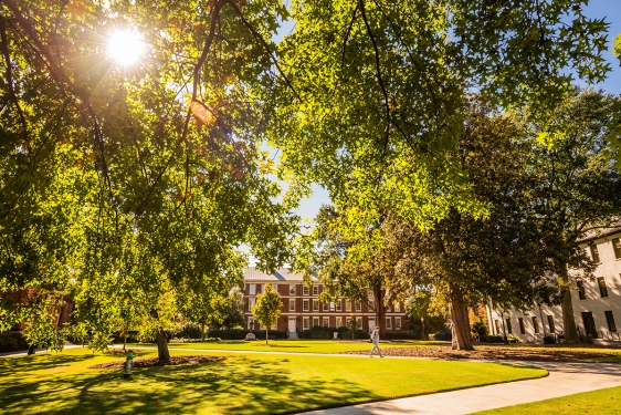 photo of sunny day with trees and buildings