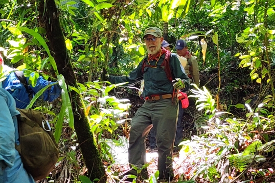 photo of man walking in jungle, day