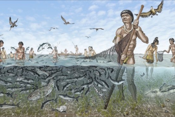 illustration of people fishing with a large net