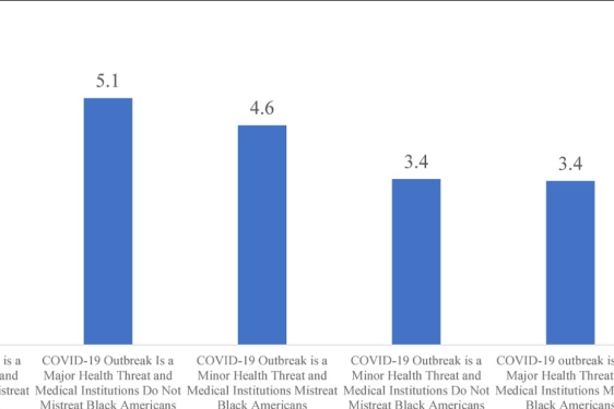 bar graph with blue vertical columns 