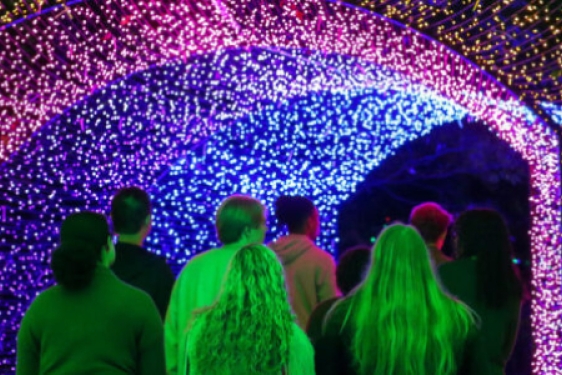 photo of people walking through a light tunnel