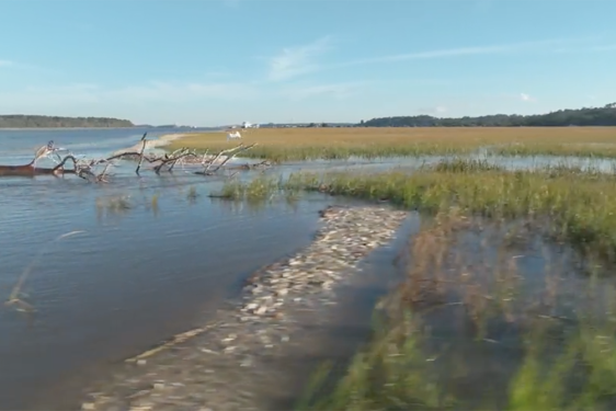 photo of water, reef, and marsh, day