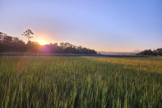 photo of sunrise over marsh
