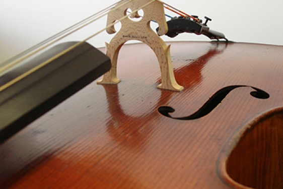 cello close up