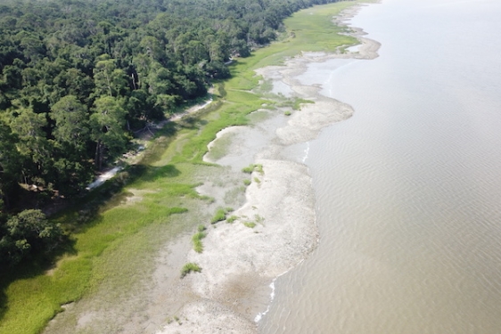 aerial photo of coastline in daylight