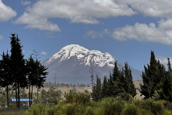 photo of snow-covered mountain, day, with trees in foreground