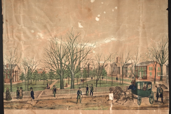 archival color illustration