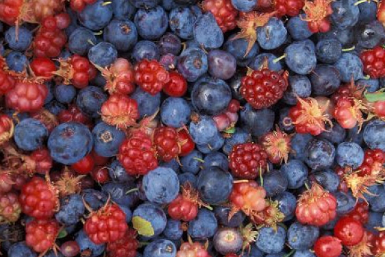 blueberries and strawberries