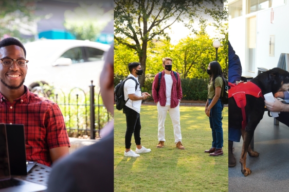 composite of three photos with people and a dog