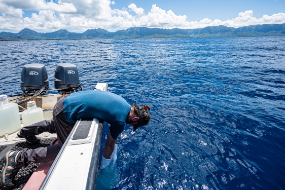 photo of man on boat with arms in water, day