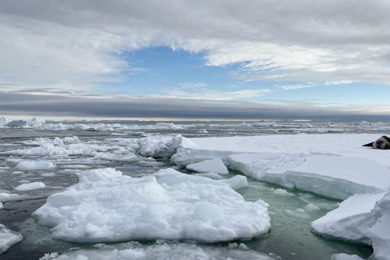 photo of icebergs and sea, with sky, day