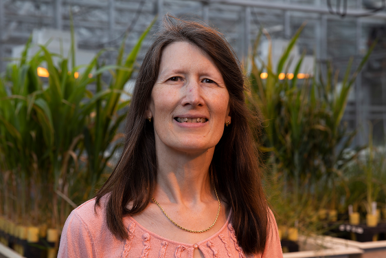 photo of woman in greenhouse