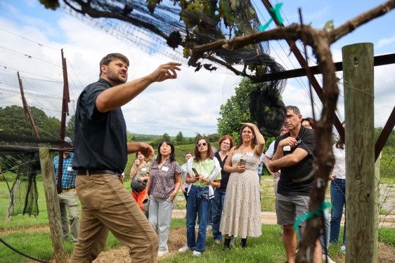 photo of man pointing to vine, group of people watch in background