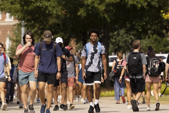 photo of people walking, with trees, day
