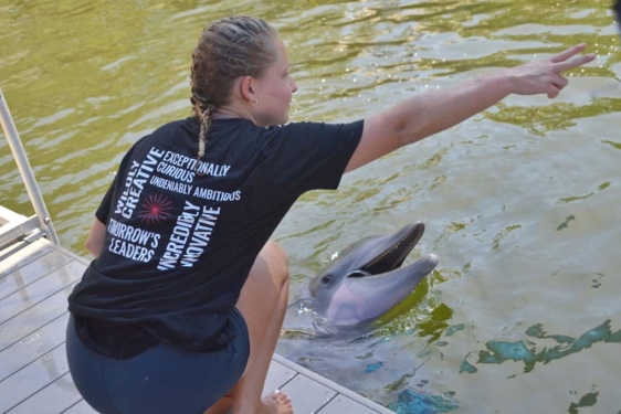 Girl training dolphin